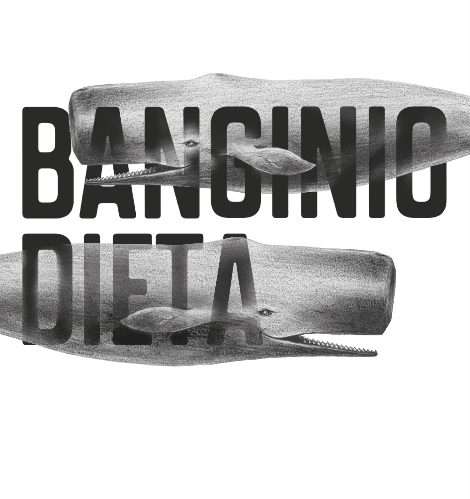 Prekės ženklas: BANGINIO DIETA